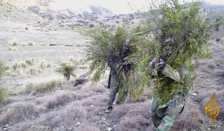 Go Plant Trees for the Environment, Taliban Tell Terrorists