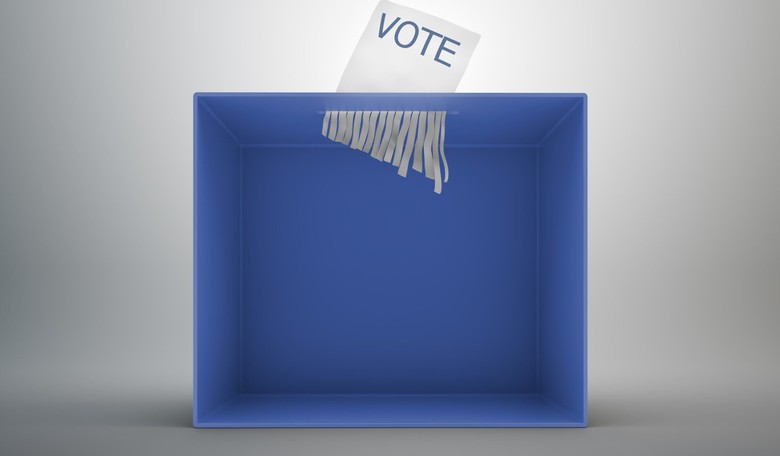 Surprising Number of Americans Would Give Up Vote for a Pay Raise