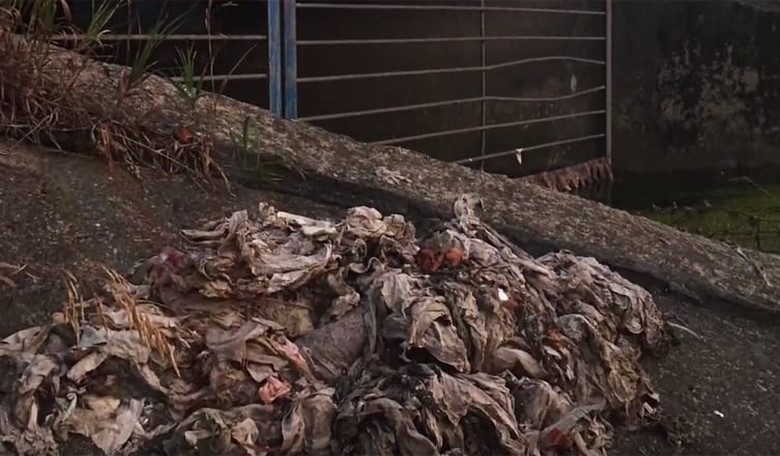 Wet Wipes Are Wreaking Havoc on the World's Sewer Systems