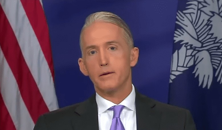 Trey Gowdy Says He'd Be Fined by the FCC If He Said What He Really Thinks of Harry Reid