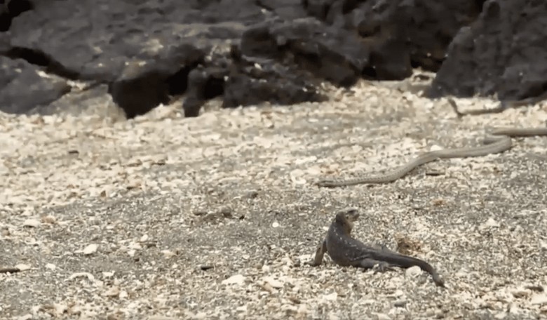 This is What a Real-Life Horror Film Actually Looks Like