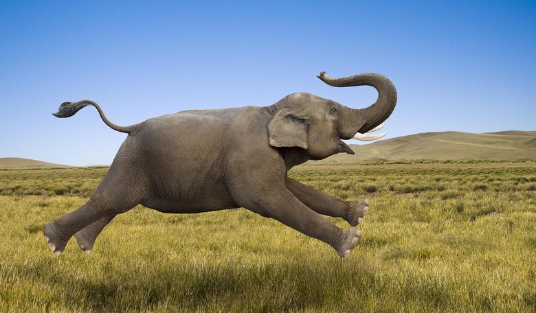 Whither the Republican Party After the Election?