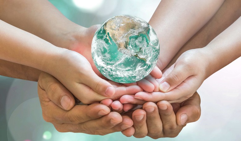 The Environmentalists Versus Trump