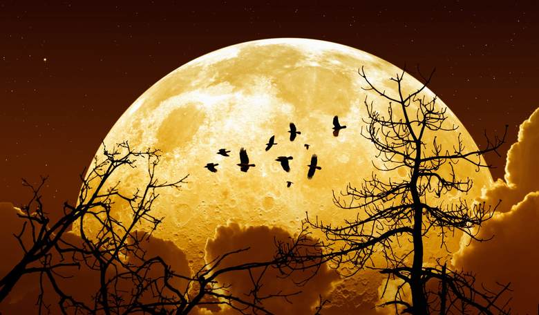 Does Tonight's Record-Breaking Supermoon Point to the End Times?