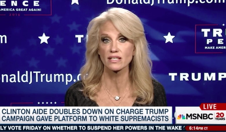 Dems React Hysterically to Kellyanne Conway's 'Free Commercial' for Ivanka's Products