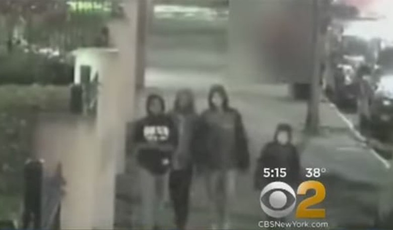 Violent Children, One as Young as 8, Suspected in Brooklyn Attack and Robbery