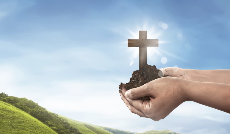 On World Soil Day, Dirt's Billion-Year History Proves Intelligent Design