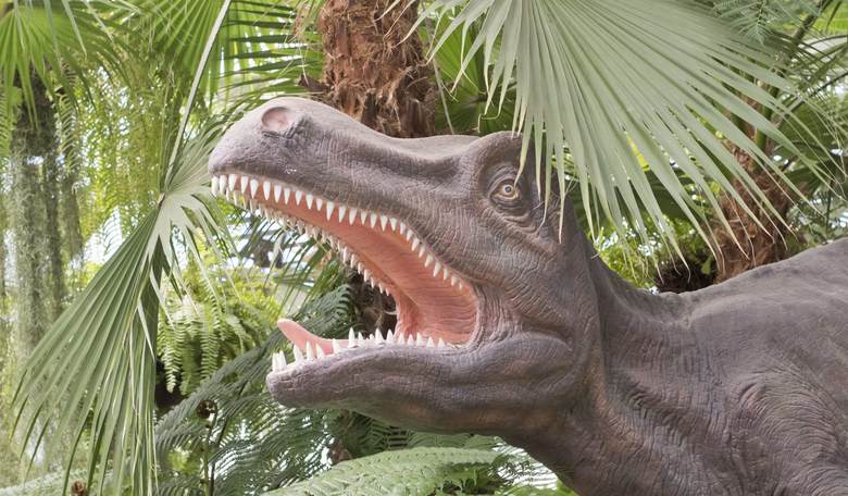 A Dino in Aspic