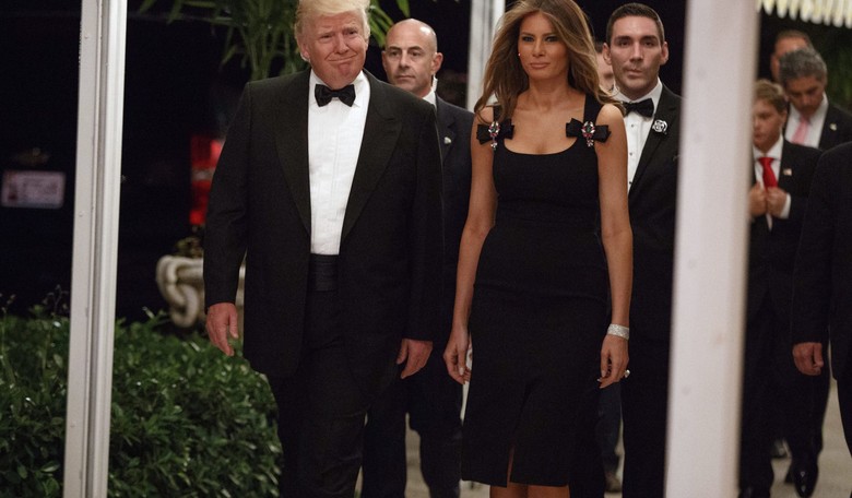 Dolce & Gabbana Take Heat for Melania Trump's Dress