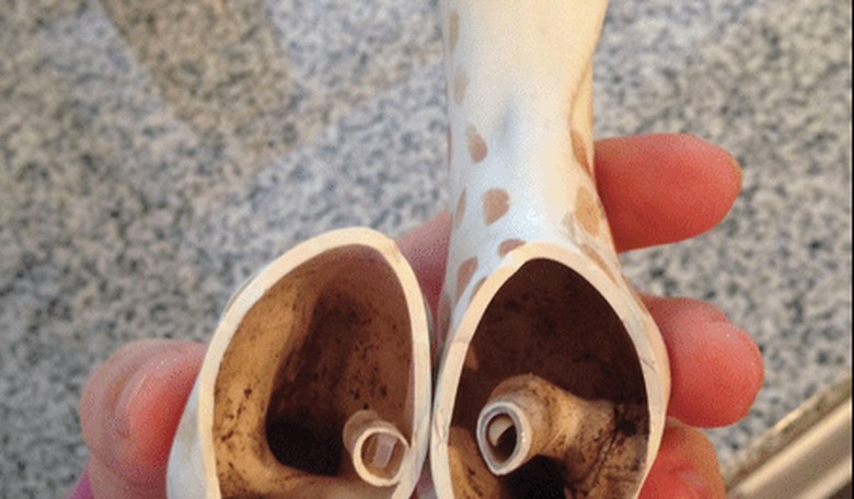 WARNING: Your Baby's Sophie the Giraffe Could Be Filled With Disgusting Mold