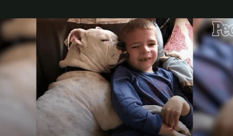 A Non-Verbal Boy Bonds with His Deaf Foster Dog