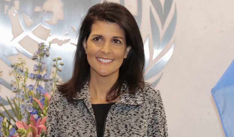 Bravo to Ambassador Haley, for Blocking UN Ploy on 'Palestine'