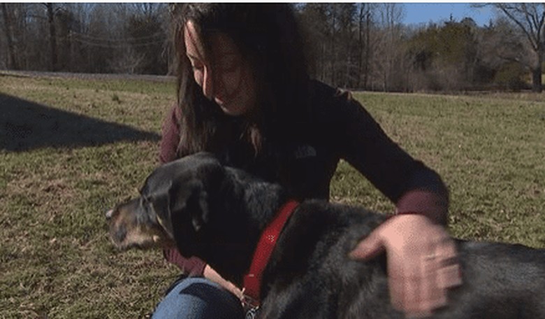 Insurance Company Cancels Couple's Policy After Seeing Pic of Their Dog on Facebook