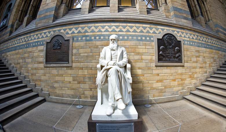 Darwin's Legacy: Anti-Science, Anti-God, Anti-Compassion