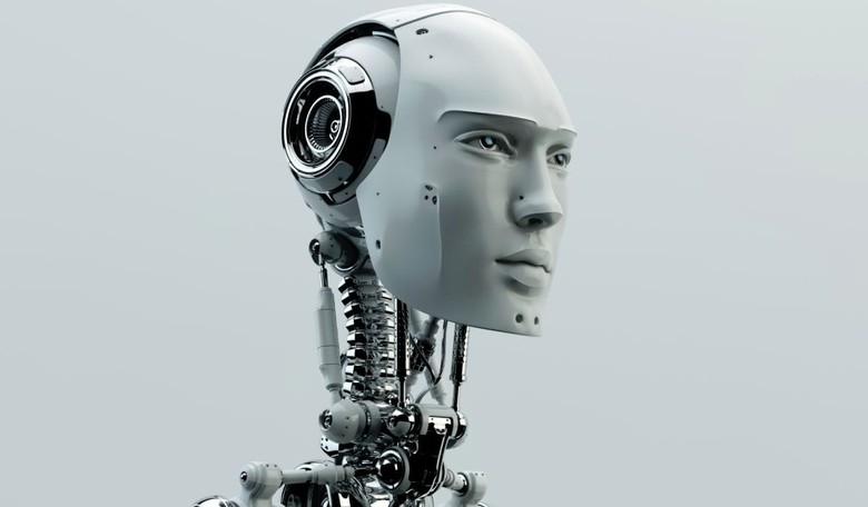 'Fight for Fifteen!' Robot 'Flippy' Likes the Sound of That
