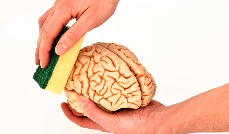 The Mental Reign of Terror