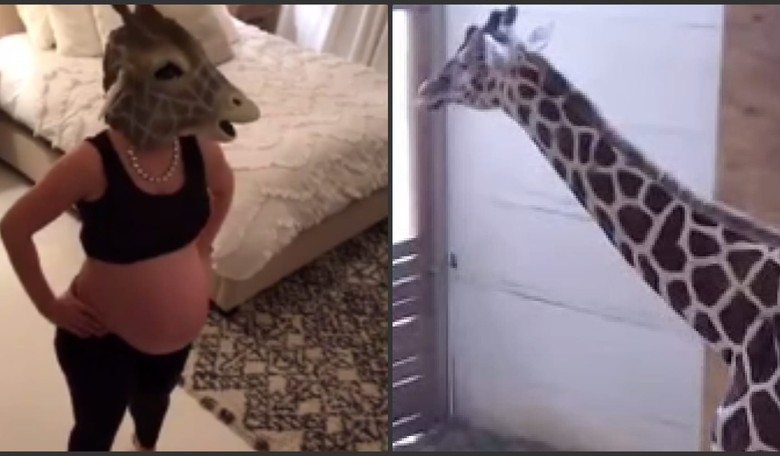 Pregnant Mom Takes April the Giraffe Watch to the Next Level with Spot-On Imitation