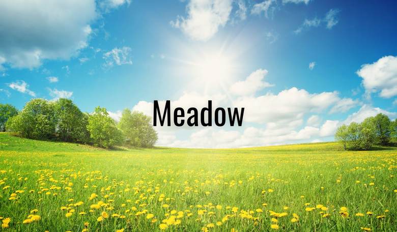 20 Earthy Baby Names for Crunchy, Nature-Loving Parents