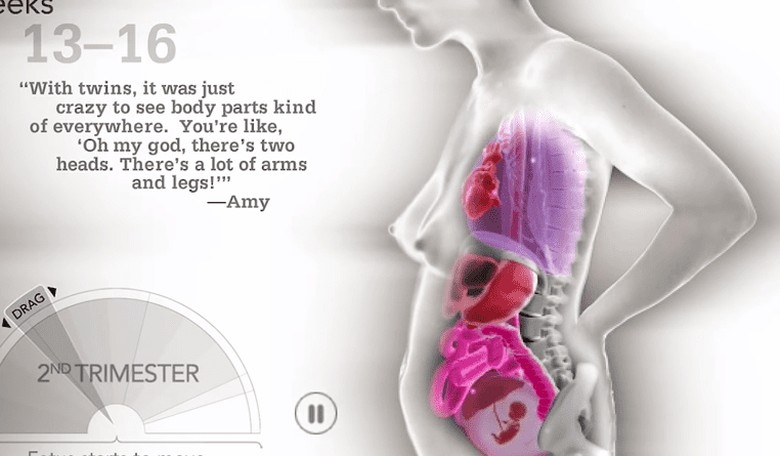 INSANE 41-Second Video Captures How Drastically Your Organs Shift During Pregnancy