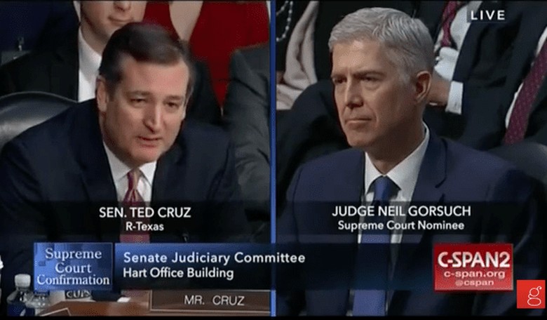 Ted Cruz Calls Dems out for Their Double Standard on Gorsuch