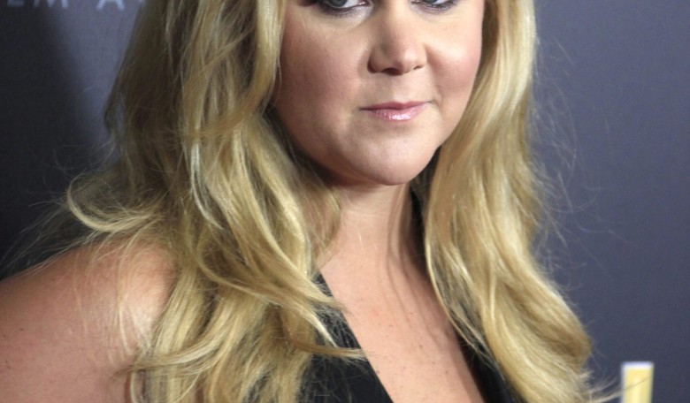 Amy Schumer Blames 'Alt Right Organized Trolls' for Bad Netflix Show Reviews
