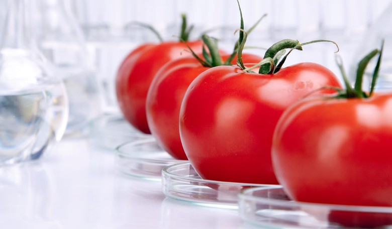 German Scientists Grow Tomatoes in Urine in Anticipation of Future Space Expeditions