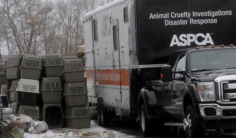 Bestiality Now Against the Law in Ohio