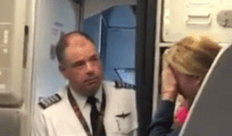 Mom in American Airlines Stroller Incident Accused of Faking It