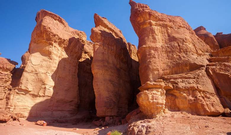 3,000-Year-Old Donkey Dung May Validate Biblical Account of King Solomon