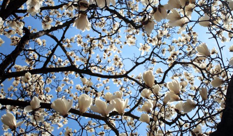Thoughts on Easter 2017