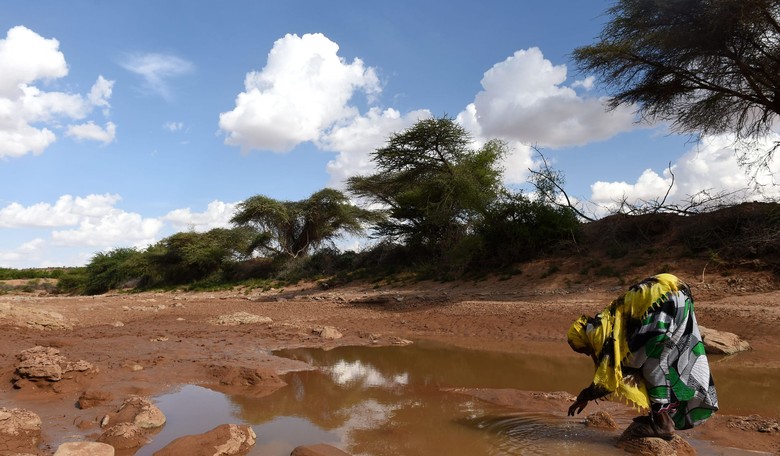 Somali Refugee Flow to Minnesota Slows Dramatically