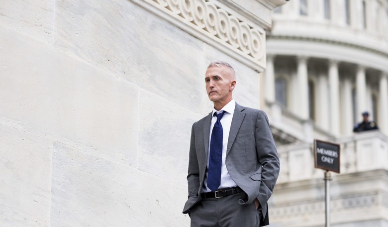 Gowdy: Trump Should Be 'Glad' FBI Ran Down Leads on Russia Campaign Interference