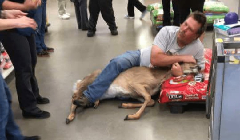 Fresh Venison! Minnesota Shopper Wrestles Deer to the Ground in Wal-Mart