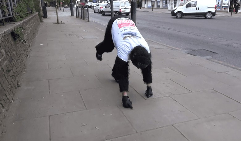Man Completes London Marathon Crawling in a Gorilla Suit