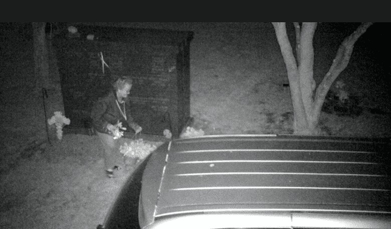 Flower Shop Owner Caught Stealing Plants—from a Cemetery