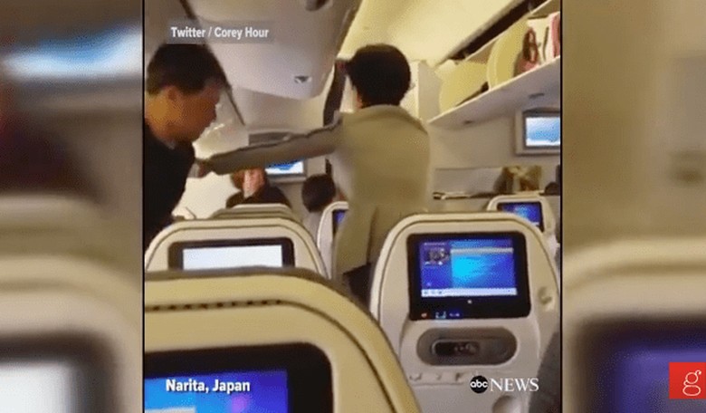 Latest Airplane Crisis: Fight Breaks Out on Flight From Japan to L.A.