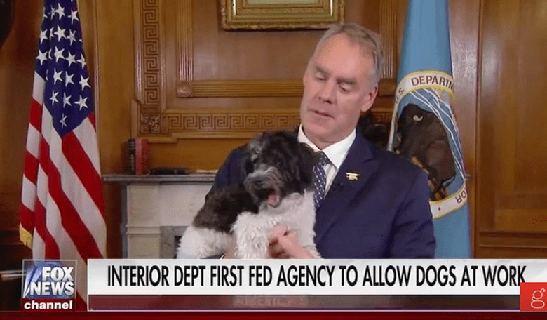 Ryan Zinke Opened the Dept. Of Interior Offices to Dogs