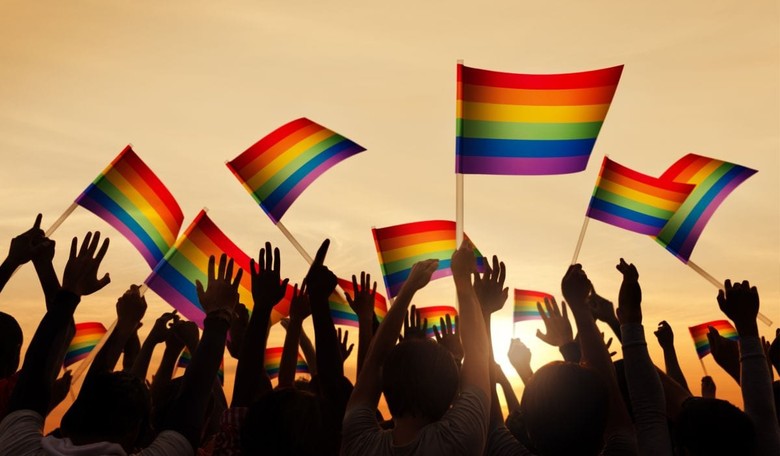 Pro-Trump Gay Group Denied Permission to Enter Float in Pride Parade