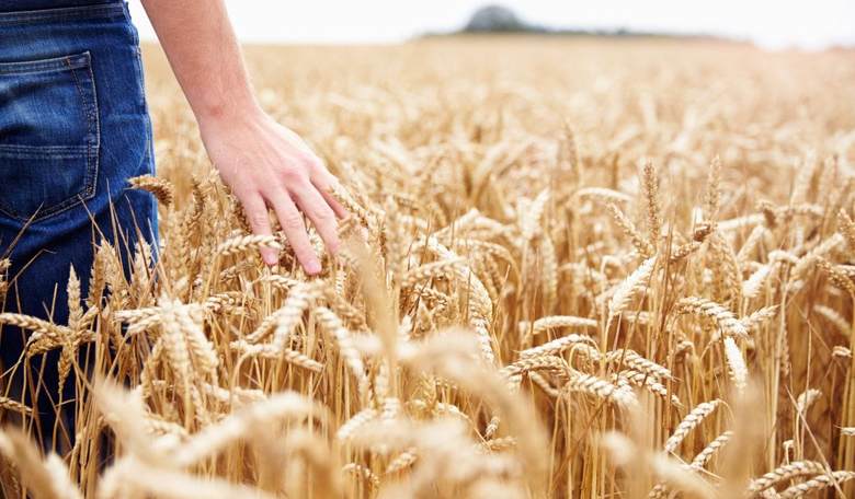 Are Americans 'Agriculturally Illiterate'?