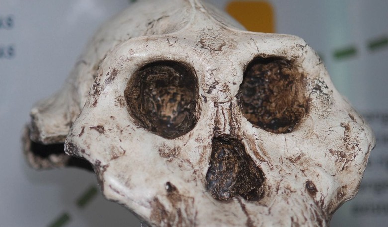 Human Origin Theory Upended by Ancient Homo Sapien Find