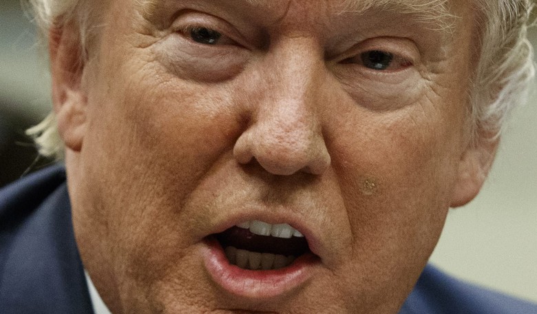 Twitter Declares War on Conservatives: More Pro-Trump Accounts Purged Overnight