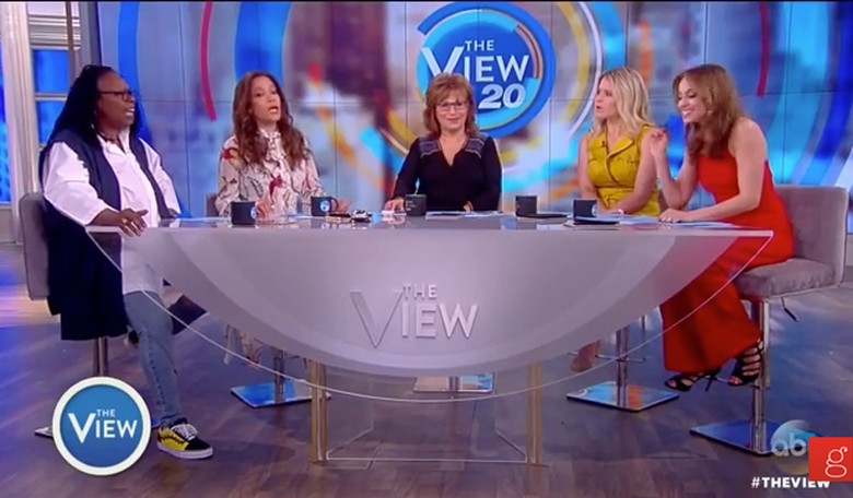 'The View' Panel Explodes Over Whether Gun Laws Make People Safer