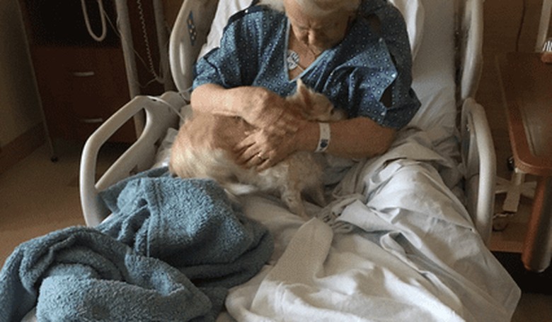 Grandma Can't Stop Crying When She's Reunited With Dog in Hospital