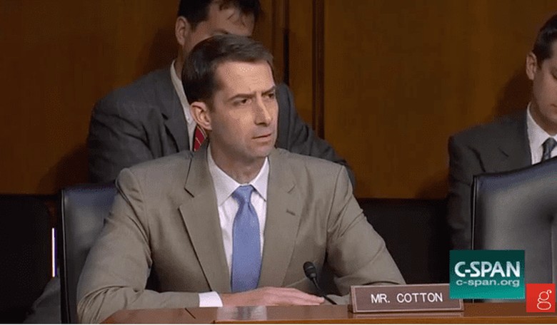 Sen. Cotton: It's a 'Myth' That Trump Is Weaker on Russia Than Obama Was