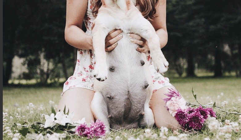 Fusee the Dog Has a Fabulous Maternity Photo Shoot