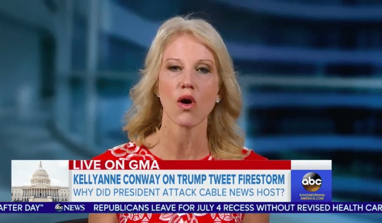 Kellyanne Conway Doesn't Endorse What Donald Trump Said About the 'Morning Joe' Crew