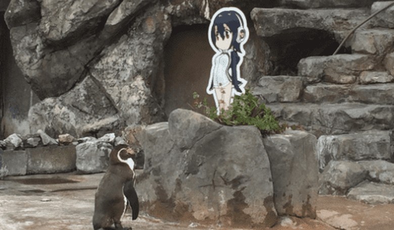 Abandoned Zoo Penguin Finds True Love with Anime Cardboard Cutout