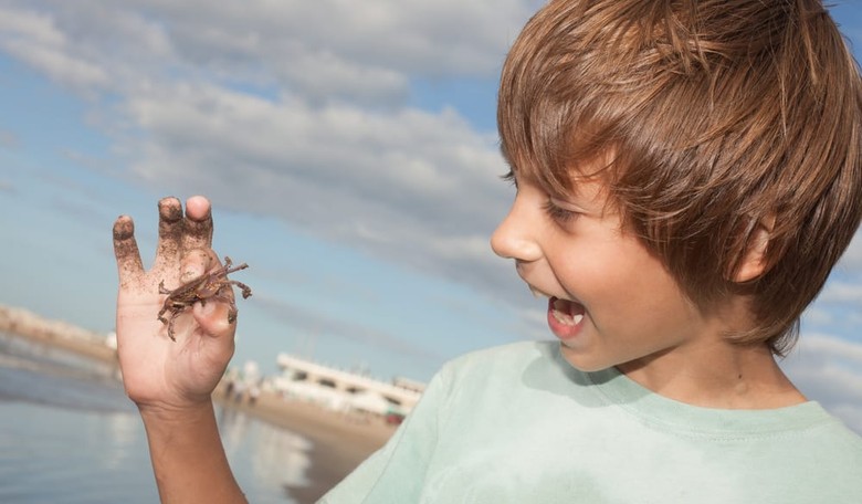 Pediatricians, Experts Issue Hysterical Warnings Against Summertime Play