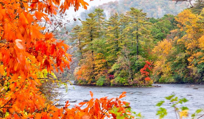 In Connecticut, the 'Blue State' Model Crashes and Burns