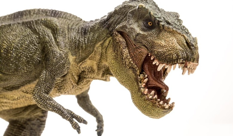 New Study Proves Tyrannosaurus Rex Had Scaly Lizard Skin, Not Feathers